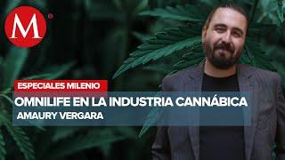 Omnilife entra al mercado cannábico: Amaury Vergara | Especiales Milenio