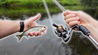 Catching every fish on lures! Mifine Illusion Slash tested