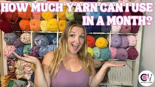 How Much Yarn Can I Use In a Month? June Edition!