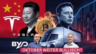 S&P 500: Stärkstes Jahr seit 1997! Tesla, BYD, MicroStrategy und Bitcoin explodieren!