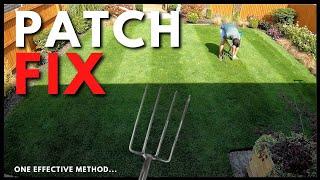 New Grass Seed Growing PATCHY?? - Let's Repair It