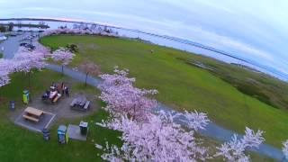 Aerial View of Garry Point Park