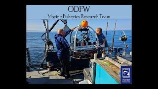 ODFW Marine Fisheries Research Team Tests Video Lander