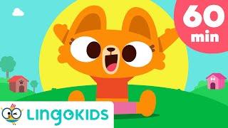 LINGOKIDS LISA BEST SONGS  Dance and Learn with LISA the Cat!