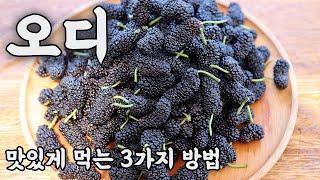 뽕나무 열매 오디 맛있게 먹는 3가지 방법 / 3 kinds a mulberry cooking recipes