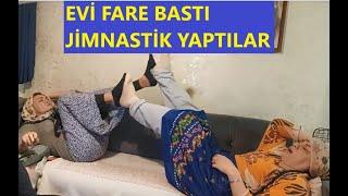 FARELİ EV DE ZAYIFLAMA EGZERSİZİ