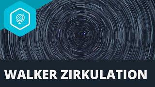 Walker Zirkulation