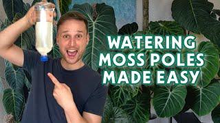 HOW TO KEEP YOUR MOSS POLES MOIST - watering tips & tricks