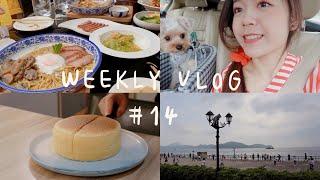 April Vlog | 复活节假期 | 阳台吧台桌️ | 去朋友家烘焙 | 西贡吃海鲜 | 数码港野餐 | 超大雾的山顶 | 2021 Vlog #14