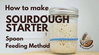 How to make your own Sourdough Starter | Spoon Feeding Method