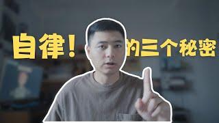 TED爆火演讲---自律的三个秘密！三招让你学会自律！