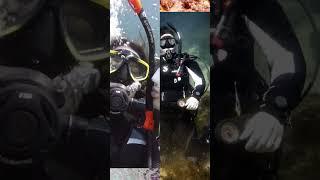 A look at the Florida springs  #dive #ssi #underwater #scubadiving #divinglife #padi