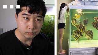 Fishkeeper STUNNED by Internet Fish Tank videos once again | Fish Tank Review 293