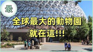 最大的動物園！超過 17,000 隻動物！