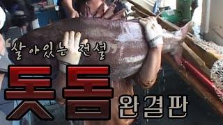 [FTV한국낚시채널] 강영철의 호기심 낚시천국 '살아있는 전설 돗돔, 완결판'