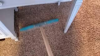 Carpet Raking Satisfaction