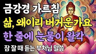 금강경의 가르침ㅣ마음을 비우니 삶이 달라졌다ㅣ부처님 말씀ㅣ불교 명언