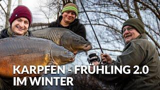 Karpfen-Frühling 2.0  im Winter  | P.R. Baits | Boilie | Karpfenangeln im Januar ️