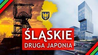 Jak ŚLĄSK stanie się DRUGĄ JAPONIĄ?