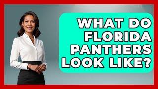 What Do Florida Panthers Look Like? - The Wild Life Explorer