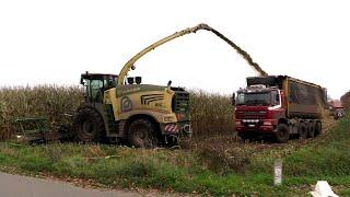 Maïs 2024 | Krone Big X 780 | Ginaf 8x8 met USA afschuifbak | 2x Case IH | 2x Fendt | 2x John Deere