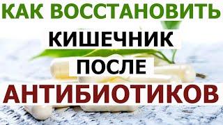 Как восстановить кишечник после антибиотиков. Нужно ли использовать пробиотики для микрофлоры.