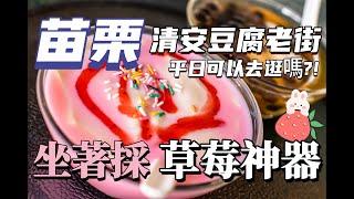 【老街系列】ep.6【假日-清安豆腐街】這7家必吃美食景點．大湖採草莓．台灣旅遊美食．苗栗泰安清安豆腐老街．洗水坑．大湖烤蛋．小吃．豆花．Taiwanese Street Food．真愛草莓農場．