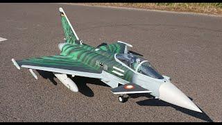 3d printed DIY Eurofighter Typhoon Jet "Ghost Tiger" #jet #aviation #diy #printed #plane