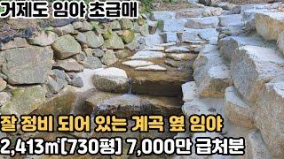 [거제도 임야 초급매] 거제시 거제면 계곡이 있는 건축 가능한 소형 임야 급처분 - 7,000만