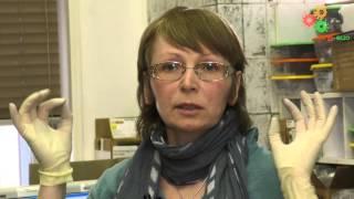 Молекулярная биология. Проточная цитометрия (Е. И. Коваленко)