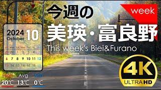 [This week's Biei/Furano] Week  of October | sending out seasonal scenery every week! Archive