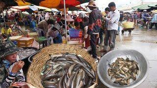 Amazing 9 Kilometers Fish Market Scene - Plenty Alive Fish, Rural Fish, Crab, Sanil, Eel & Seafood