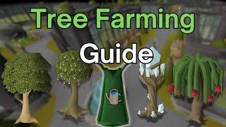 Tree Farming Run Guide - 1-99 Farming OSRS