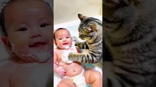 Cat care baby video,#shorts#cute #short#baby#cat