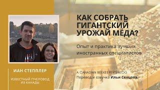 Как собрать гигантский урожай мёда? (Иан Степплер, Канада)