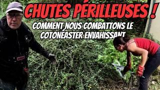 ep7 chutes risquées et jardin envahi ! notre combat contre la végétation