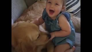 Dogs are friends of kids Дети и собаки друзья