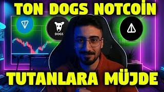 Ton Dogs Not : Bu Coinleri Tutanlar Çok Şanslı