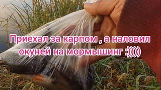 Рыбалка на мормышинг . Ловля окуня на мормышинг . Летняя рыбалка на мормышку . Рыбалка 2024 . Рыбак