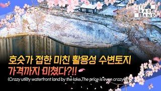 [No.0190] 광주, 호숫가 벚꽃 명소가 시세의 70%?!! 벚꽃연금 출시 선착순 1명 모집!! 독점 급매물 - WECL│트레이드랜드