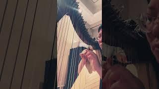 [For Harp Beginners] Barn Dance Memory by Jane Weidensaul, ABRSM Grade 1 #harpmusic #harps