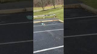 THE CRAZIEST FIRST AMENDMENT AUDIT YOU WILL SEE TODAY #audit #firstamendment #funny #funnyvideo