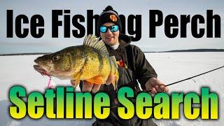 Ice Fishing Perch — Setline Search Tactics