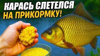 НА ЭТО КЛЮЁТ В ЗАБРОС! Рецепт прикормки на КАРАСЯ!