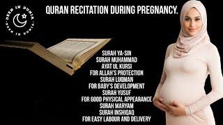 Quran Recitations for Pregnant Woman and Baby| Listen daily|