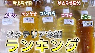 バクテリア本舗の侍シリーズは結局どれが1番良いのか？全てランキング形式で解説してみた【ふぶきテトラ】