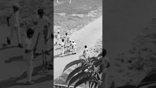 School Life Joys : Village Kids Playing Cricket with Friends