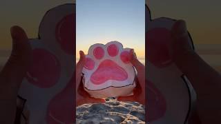 Paw Jumbo paper squishy￼￼!?! #papersquishy #squishy #diy #papercraft #cutecrafts #crafts #cute