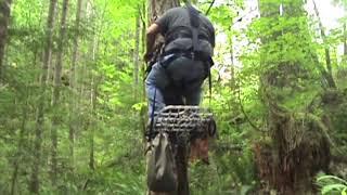 Lone Wolf Sit & Climb Treestand Review