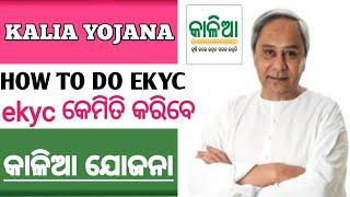 how to do ekyc for kalia yojana online odisha!online ekyc kalia yojana!@MrGunanidhi35